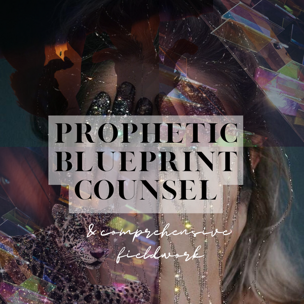 Prophetic Blueprint Counsel + Comprehensive Fieldwork