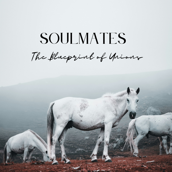 Soulmates & The Blueprint of Unions